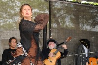 Andalusischer Flamenco der besonderen Art