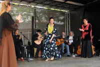 Andalusischer Flamenco der besonderen Art